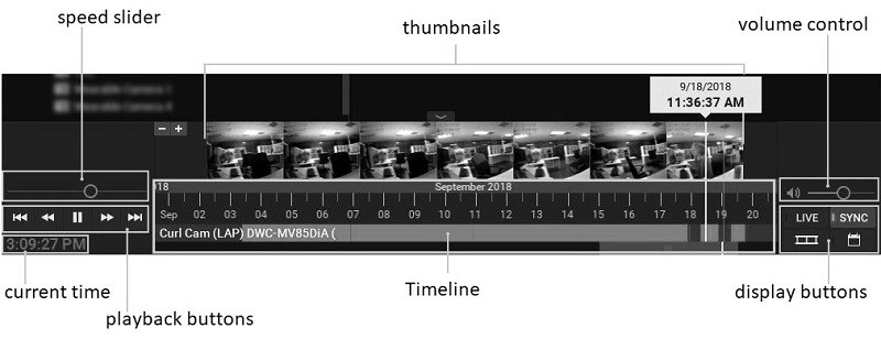 Playback Panel - 1